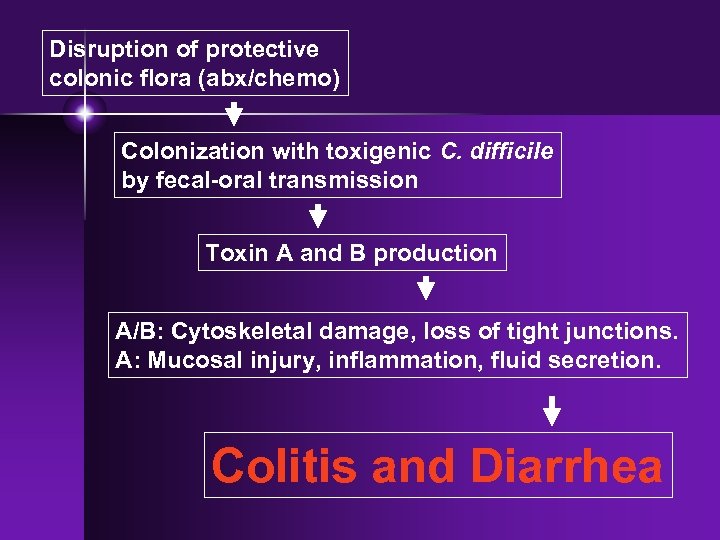 Disruption of protective colonic flora (abx/chemo) Colonization with toxigenic C. difficile by fecal-oral transmission
