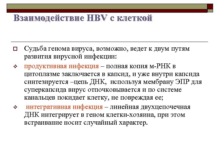 Взаимодействие НВV с клеткой o v v Судьба генома вируса, возможно, ведет к двум