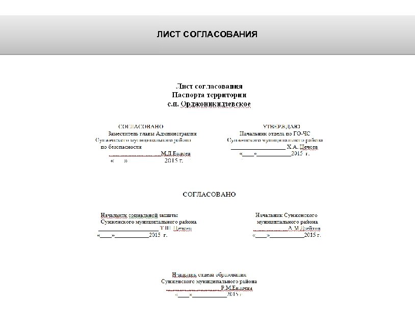 Паспорт социального проекта пример