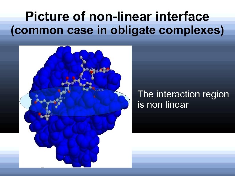 Picture of non-linear interface (common case in obligate complexes) The interaction region is non