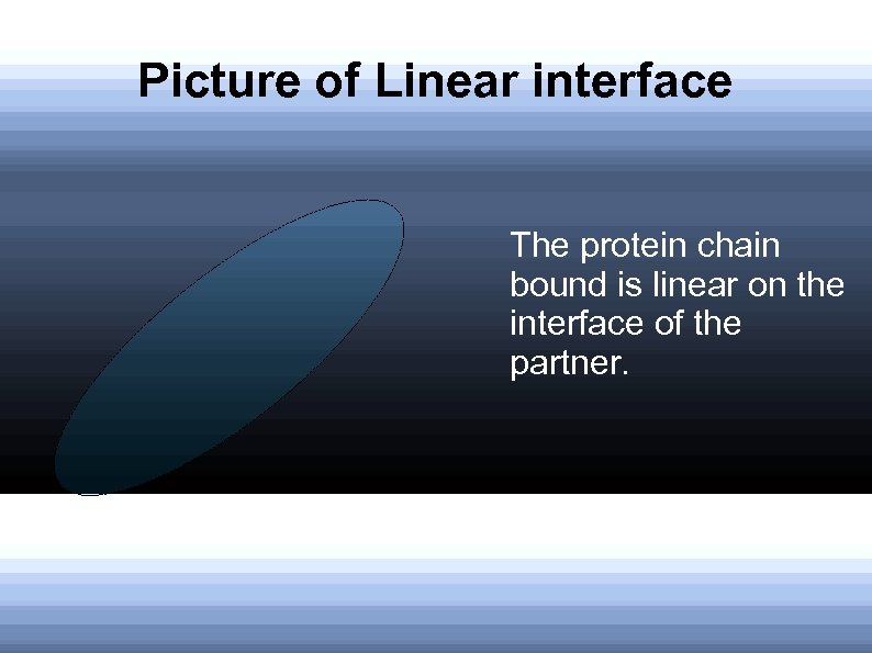 Picture of Linear interface The protein chain bound is linear on the interface of