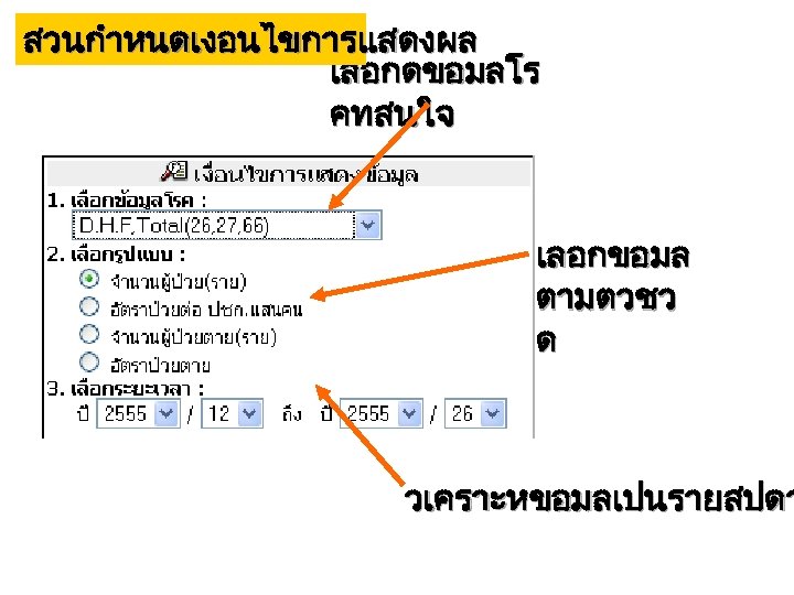 สวนกำหนดเงอนไขการแสดงผล เลอกดขอมลโร คทสนใจ เลอกขอมล ตามตวชว ด วเคราะหขอมลเปนรายสปดา 