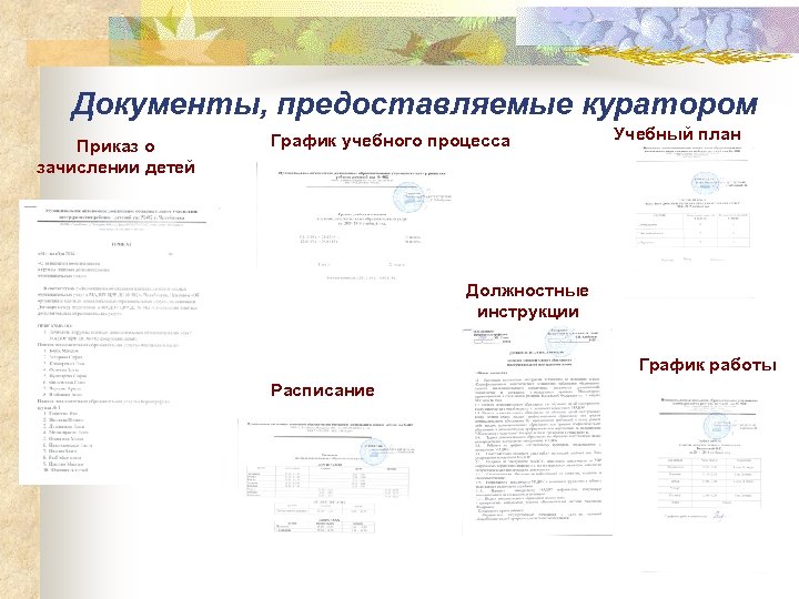 Документы, предоставляемые куратором Приказ о зачислении детей График учебного процесса Учебный план Должностные инструкции