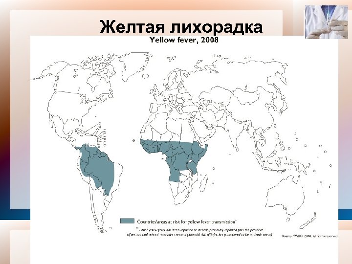 Желтая лихорадка 