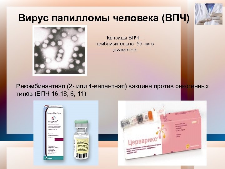 Вирус папилломы человека (ВПЧ) Капсиды ВПЧ – приблизительно 55 нм в диаметре Рекомбинантная (2