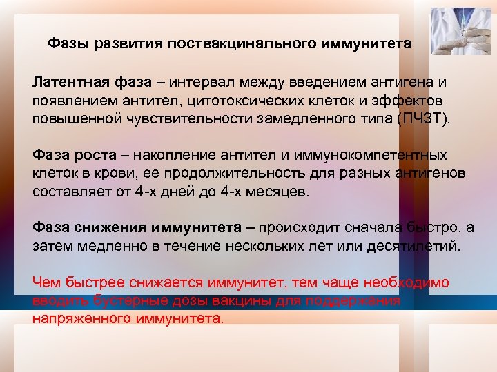 Фазы развития поствакцинального иммунитета Латентная фаза – интервал между введением антигена и появлением антител,