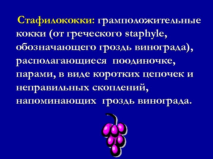 В виде виноградных гроздей располагаются. Виноградная гроздь грамположительные кокки стафилококки. Грамположительные кокки, располагающиеся в виде гроздьев винограда.