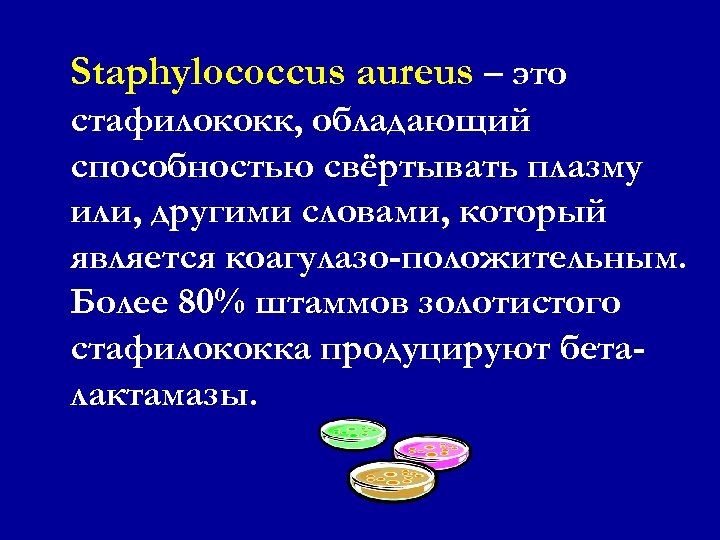 Staphylococcus aureus – это стафилококк, обладающий способностью свёртывать плазму или, другими словами, который является