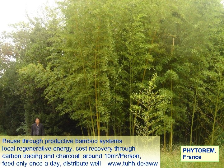 Reuse through productive bamboo systems local regenerative energy, cost recovery through carbon trading and