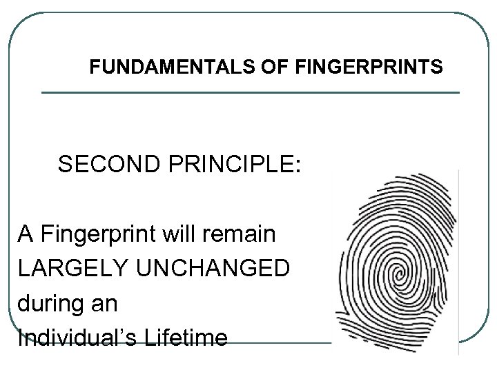 FUNDAMENTALS OF FINGERPRINTS SECOND PRINCIPLE: A Fingerprint will remain LARGELY UNCHANGED during an Individual’s