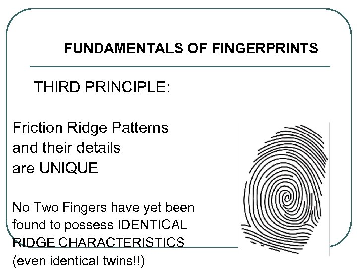 FUNDAMENTALS OF FINGERPRINTS THIRD PRINCIPLE: Friction Ridge Patterns and their details are UNIQUE No