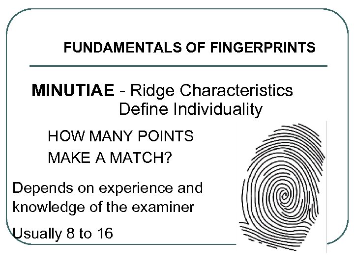 FUNDAMENTALS OF FINGERPRINTS MINUTIAE - Ridge Characteristics Define Individuality HOW MANY POINTS MAKE A