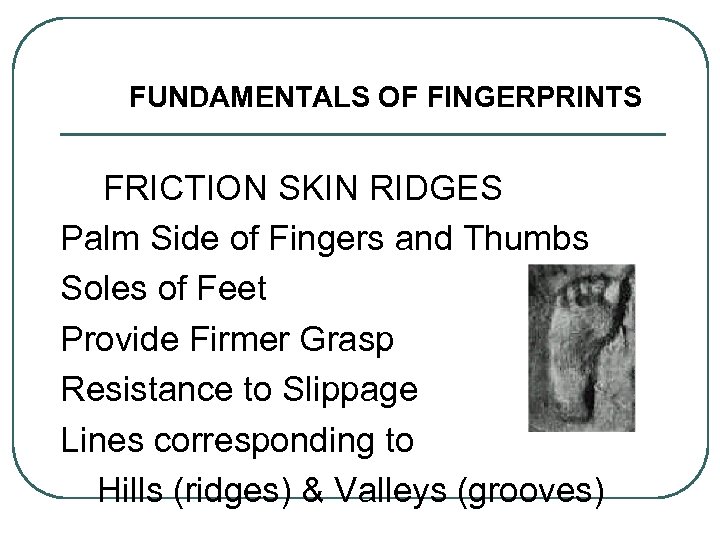 FUNDAMENTALS OF FINGERPRINTS FRICTION SKIN RIDGES Palm Side of Fingers and Thumbs Soles of