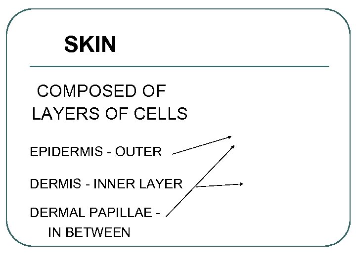 SKIN COMPOSED OF LAYERS OF CELLS EPIDERMIS - OUTER DERMIS - INNER LAYER DERMAL