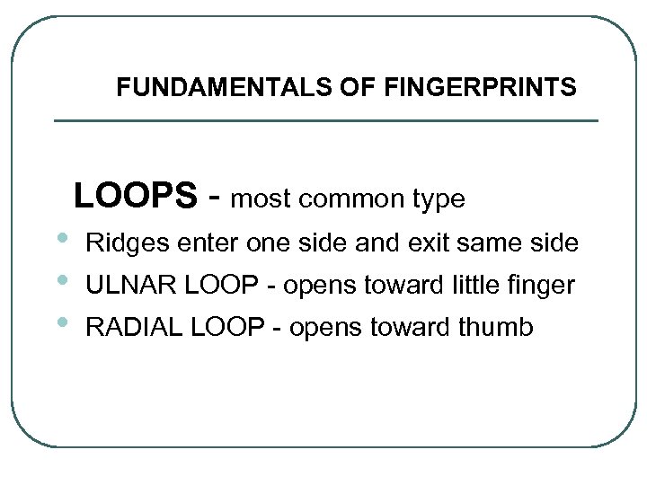 FUNDAMENTALS OF FINGERPRINTS • • • LOOPS - most common type Ridges enter one