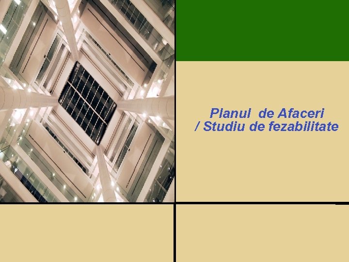 Planul de Afaceri / Studiu de fezabilitate 