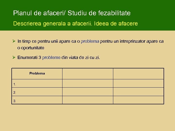 Planul de afaceri/ Studiu de fezabilitate Descrierea generala a afacerii. Ideea de afacere Ø