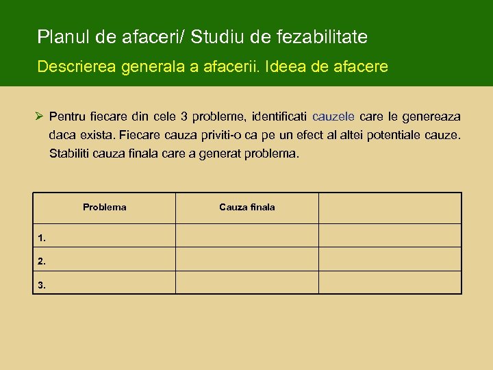 Planul de afaceri/ Studiu de fezabilitate Descrierea generala a afacerii. Ideea de afacere Ø