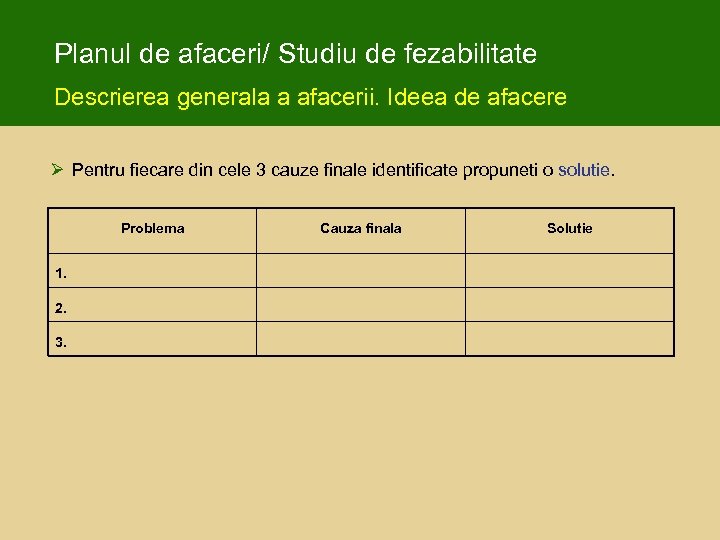 Planul de afaceri/ Studiu de fezabilitate Descrierea generala a afacerii. Ideea de afacere Ø