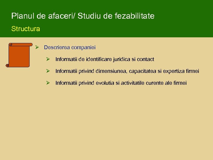 Planul de afaceri/ Studiu de fezabilitate Structura Ø Descrierea companiei Ø Informatii de identificare