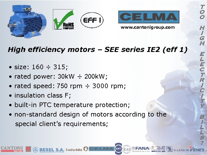 T O O www. cantonigroup. com High efficiency motors – SEE series IE 2