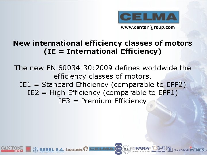 www. cantonigroup. com New international efficiency classes of motors (IE = International Efficiency) The