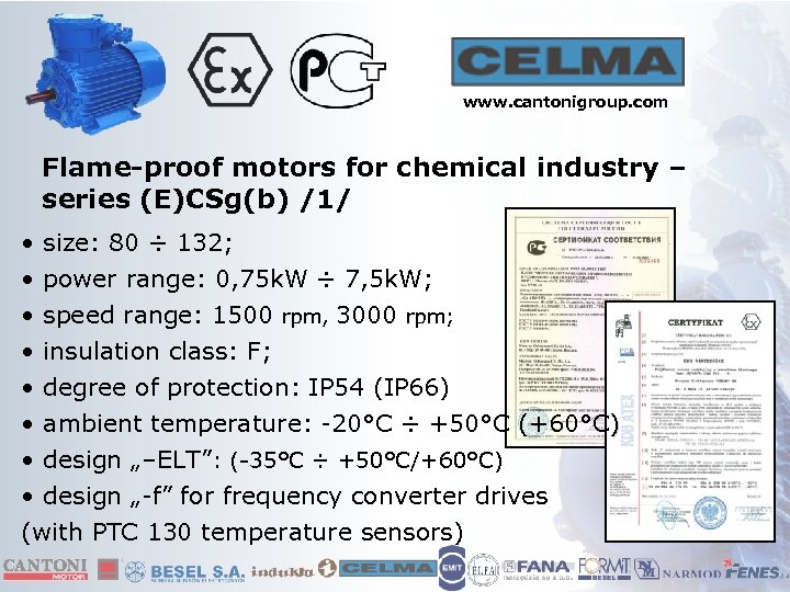 www. cantonigroup. com Flame-proof motors for chemical industry – series (E)CSg(b) /1/ • size: