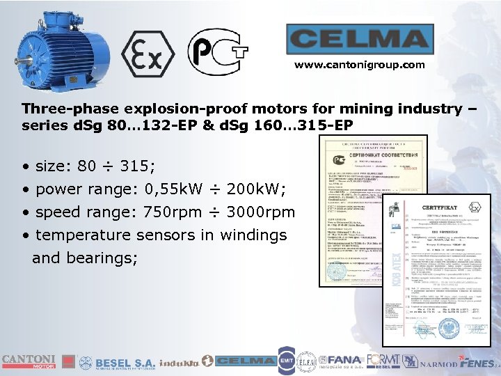 www. cantonigroup. com Three-phase explosion-proof motors for mining industry – series d. Sg 80…