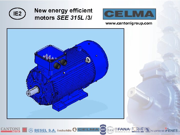 IE 2 New energy efficient motors SEE 315 L /3/ www. cantonigroup. com 