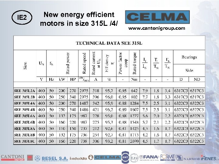 IE 2 New energy efficient motors in size 315 L /4/ www. cantonigroup. com