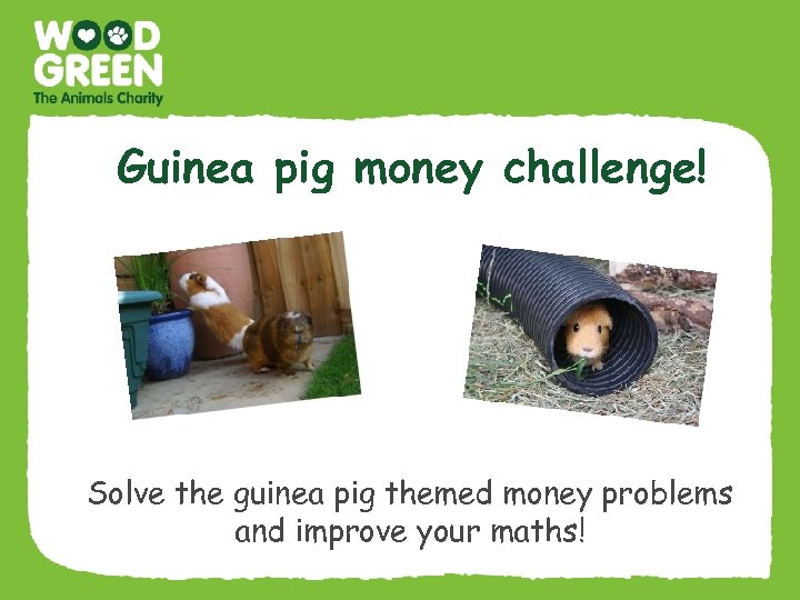 Guinea pig money challenge! Solve the guinea pig themed money problems and improve your