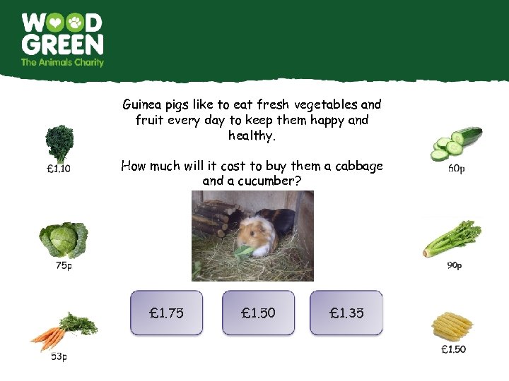 Guinea pigs like to eat fresh vegetables and fruit every day to keep them