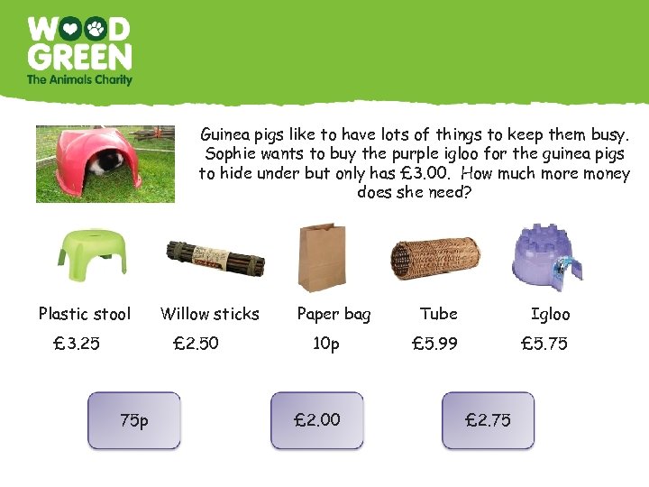 Guinea pigs like to have lots of things to keep them busy. Sophie wants