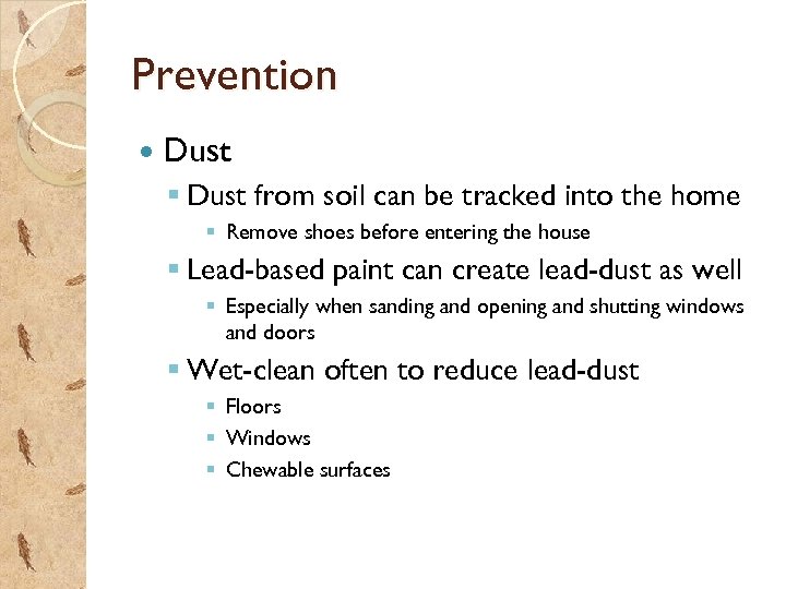 Prevention Dust § Dust from soil can be tracked into the home § Remove
