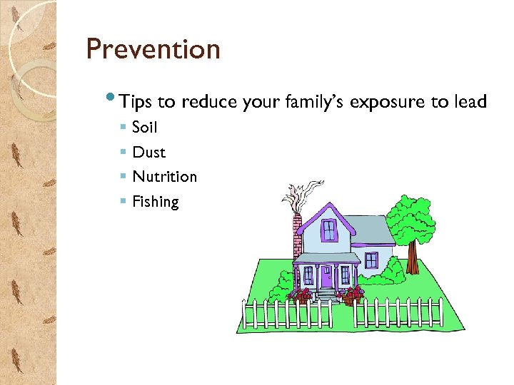 Prevention • Tips to reduce your family’s exposure to lead § Soil § Dust