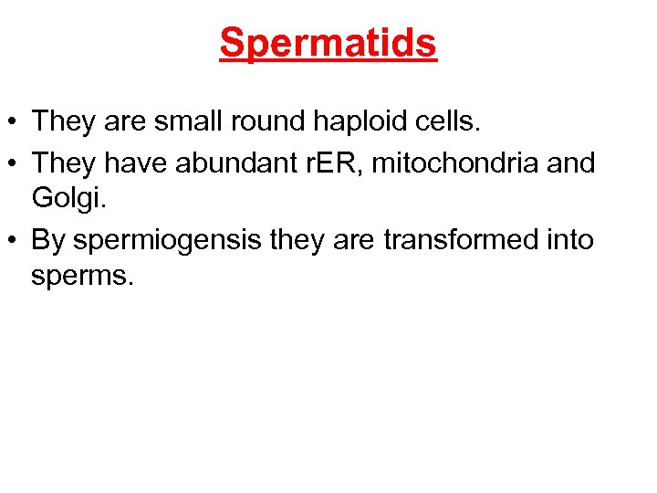 Spermatids • They are small round haploid cells. • They have abundant r. ER,