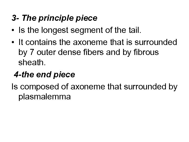 3 - The principle piece • Is the longest segment of the tail. •