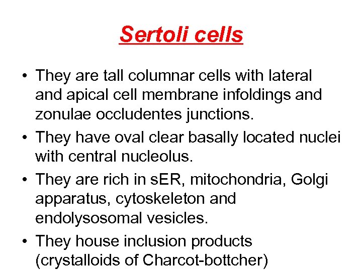 Sertoli cells • They are tall columnar cells with lateral and apical cell membrane