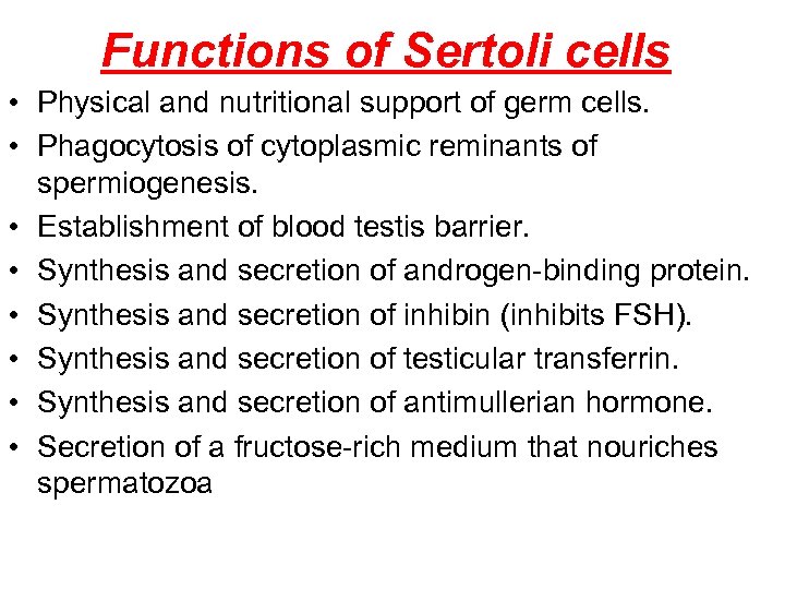 Functions of Sertoli cells • Physical and nutritional support of germ cells. • Phagocytosis