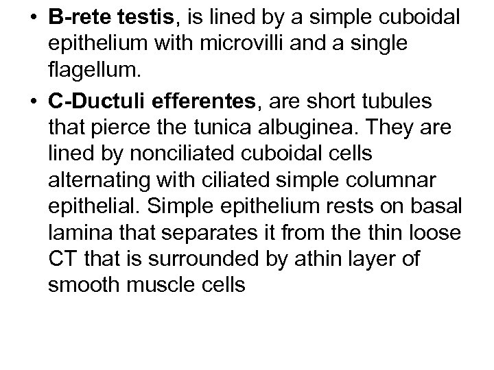 • B-rete testis, is lined by a simple cuboidal epithelium with microvilli and