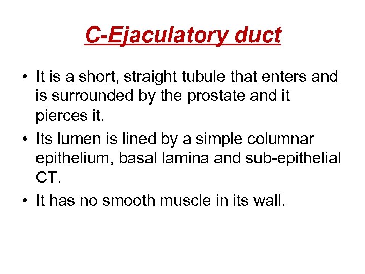 C-Ejaculatory duct • It is a short, straight tubule that enters and is surrounded