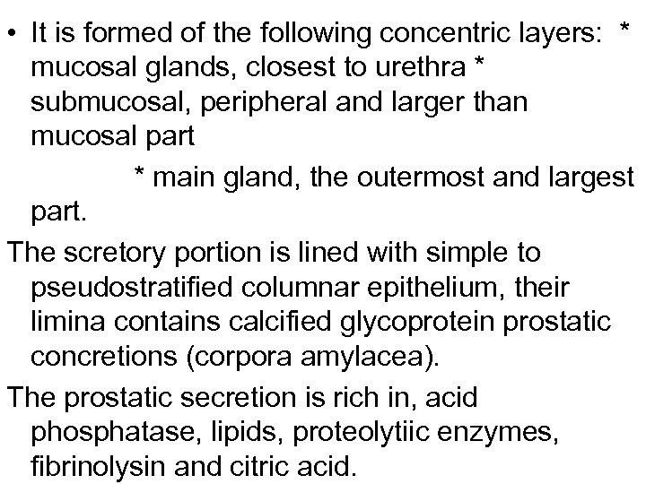  • It is formed of the following concentric layers: * mucosal glands, closest
