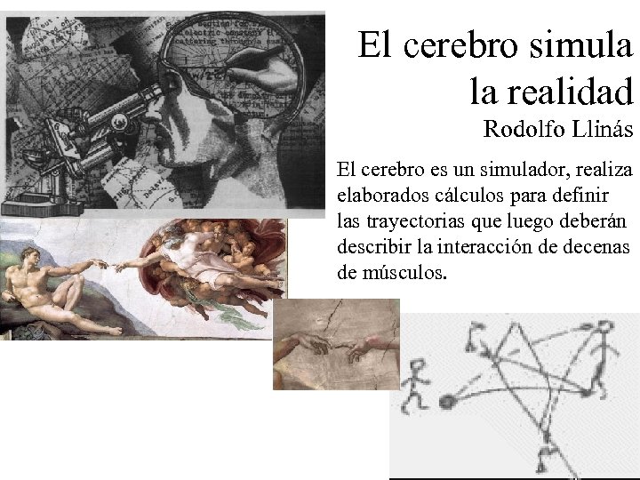 El cerebro simula la realidad Rodolfo Llinás El cerebro es un simulador, realiza elaborados