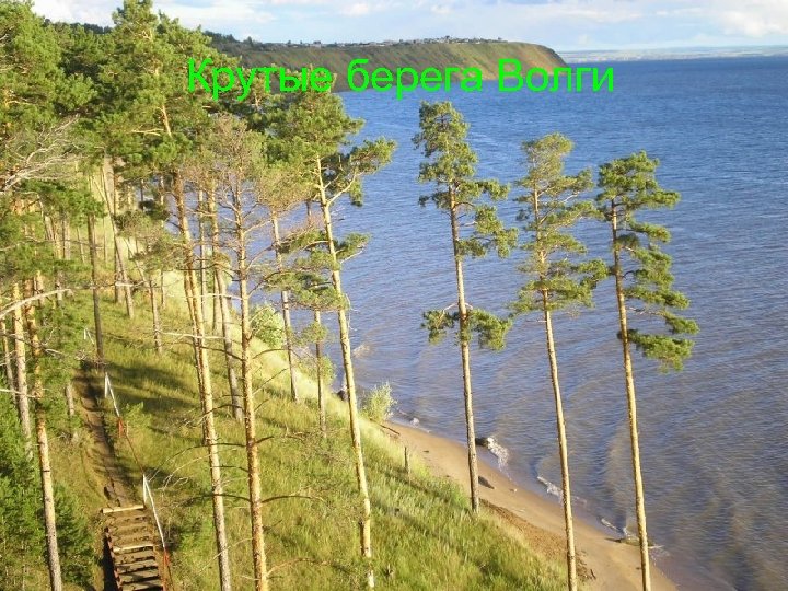  Крутые берега Волги 