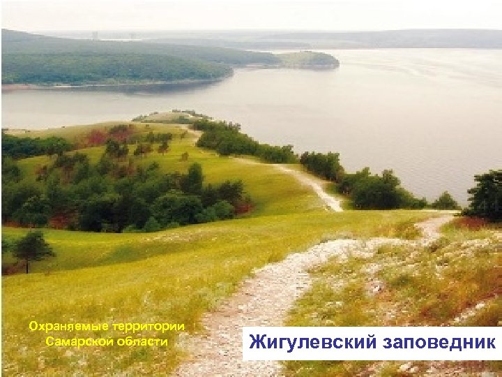 Охраняемые территории Самарской области Жигулевский заповедник 