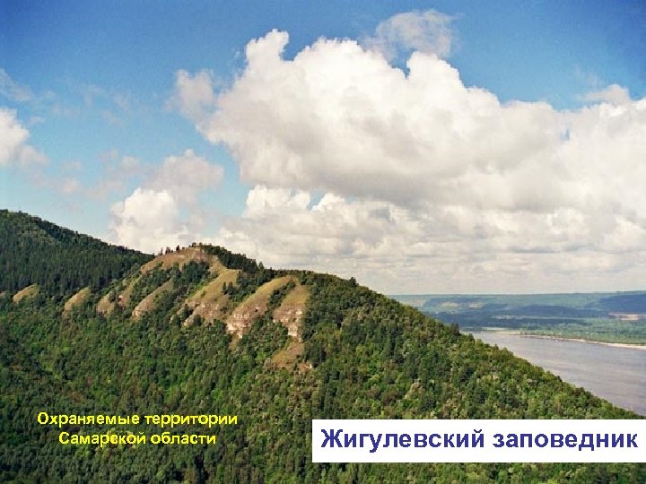 Охраняемые территории Самарской области Жигулевский заповедник 