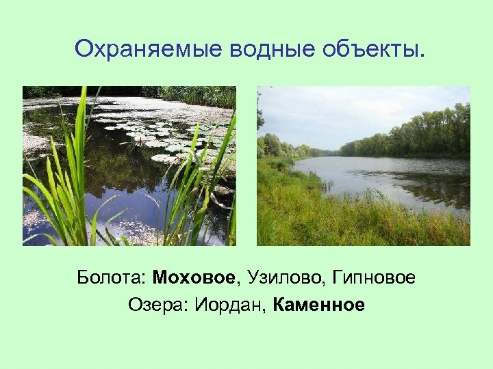 Какие водные объекты находятся в самарской области. Охраняемые водные объекты. Особо охраняемые водные объекты России. Особо охраняемые водные объекты примеры. Узилово болото.