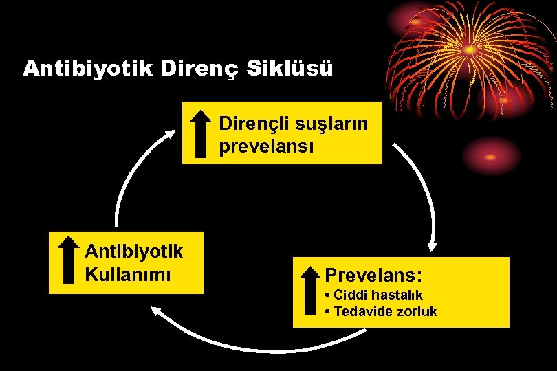 Antibiyotik Direnç Siklüsü Dirençli suşların prevelansı Antibiyotik Kullanımı Prevelans: • Ciddi hastalık • Tedavide