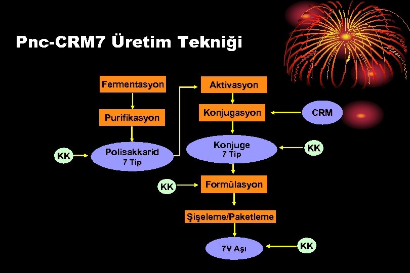 Pnc-CRM 7 Üretim Tekniği Fermentasyon Konjugasyon Purifikasyon KK Aktivasyon Konjuge Polisakkarid 7 Tip KK