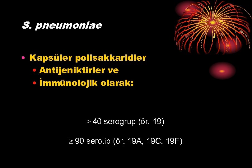 S. pneumoniae • Kapsüler polisakkaridler • Antijeniktirler ve • İmmünolojik olarak: 40 serogrup (ör,